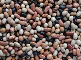 Científico de Universidad de Michigan destacó necesidad de incrementar consumo de legumbres para mejorar nutrición