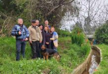 Comunidad Agrícola de Huentelauquén mejora su gestión hídrica con obras de revestimiento de canal Salinero