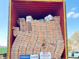 Con portal escáner SAG y Aduanas descubren contrabando de 400 mil huevos en la frontera con Bolivia 