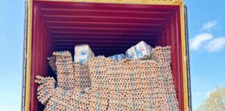 Con portal escáner SAG y Aduanas descubren contrabando de 400 mil huevos en la frontera con Bolivia 