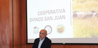 Congreso Cooperativo del Sur abordó la formación de talento y los nuevos desafíos productivos del país Congreso Cooperativo del Sur