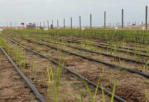 De Norte a Sur: Cómo el calentamiento global borra las fronteras climáticas del país