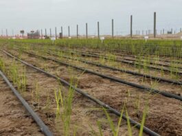 De Norte a Sur: Cómo el calentamiento global borra las fronteras climáticas del país