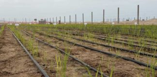 De Norte a Sur: Cómo el calentamiento global borra las fronteras climáticas del país