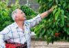Déficit de mano de obra en el agro