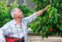 Déficit de mano de obra en el agro