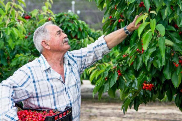 Déficit de mano de obra en el agro