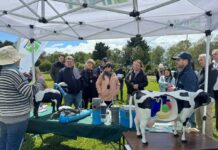 Delegación de la Cumbre Mundial de la Leche conoce avances científicos y tecnológicos en su visita a INIA Remehue Delegación de la Cumbre Mundial de la Leche conoce avances científicos y tecnológicos en su visita a INIA Remehue