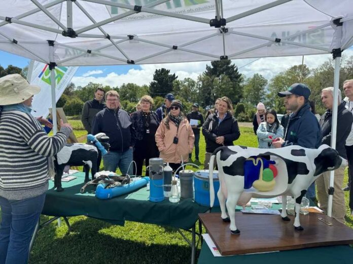Delegación de la Cumbre Mundial de la Leche conoce avances científicos y tecnológicos en su visita a INIA Remehue