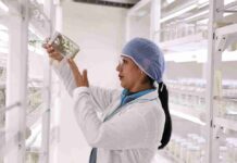 Día Mundial de la UNESCO: ¿por qué Venezuela logró que las semillas agámicas sean el futuro de la alimentación humana? Día Mundial de la UNESCO: ¿por qué Venezuela logró que las semillas agámicas sean el futuro de la alimentación humana?