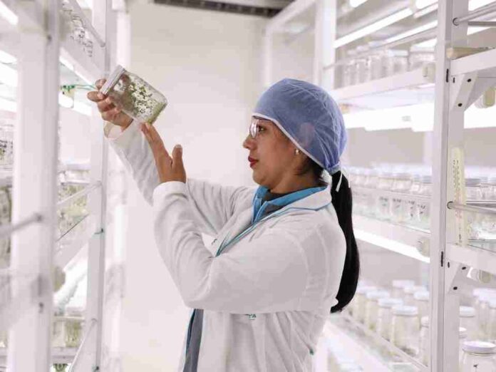 Día Mundial de la UNESCO ¿por qué Venezuela logró que las semillas agámicas sean el futuro de la alimentación humana Día Mundial de la UNESCO: ¿por qué Venezuela logró que las semillas agámicas sean el futuro de la alimentación humana?