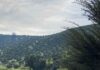 Día Nacional del Medio Ambiente