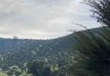 Día Nacional del Medio Ambiente