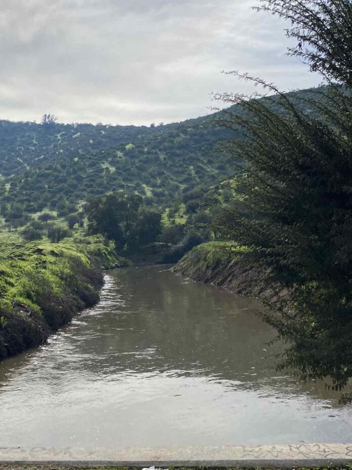 Día Nacional del Medio Ambiente