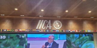 Director de INIA Chile expone en la sede del IICA en Costa Rica sobre políticas agroalimentarias sostenibles