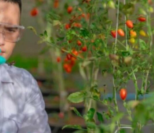 Doctorado impulsa avances en biotecnología alimentaria en Chile: académico de Santo Tomás se consolida como referente en innovación científica Doctorado impulsa avances en biotecnología alimentaria en Chile académico de Santo Tomás se consolida como referente en innovación científica