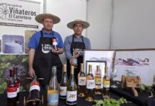 Viñas campesinas de la región del Biobío se tomarán Concepción en la “Feria del Vino 2025”