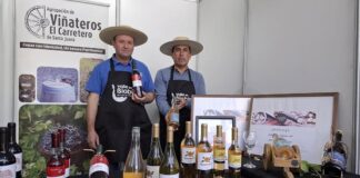 Viñas campesinas de la región del Biobío se tomarán Concepción en la “Feria del Vino 2025”