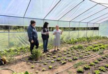 En la comuna de Coelemu, Región de Ñuble, 24 mujeres rurales usuarias de INDAP recibieron invernaderos completamente equipados