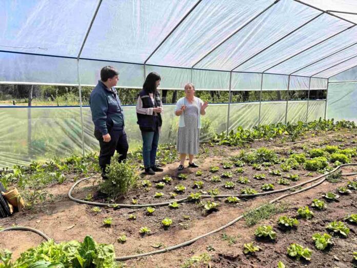 En la comuna de Coelemu, Región de Ñuble, 24 mujeres rurales usuarias de INDAP recibieron invernaderos completamente equipados
