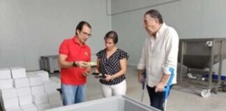 España | El pistacho se convierte en el tercer cultivo en la provincia de Jaén por detrás del olivar y del almendro