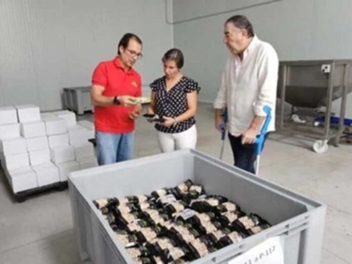 España | El pistacho se convierte en el tercer cultivo en la provincia de Jaén por detrás del olivar y del almendro