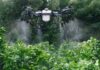 España | Sevilla acoge una jornada sobre innovación en agricultura de precisión