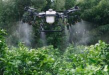 España | Sevilla acoge una jornada sobre innovación en agricultura de precisión