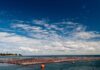 Estudio científico de INTESAL revela importante hallazgo salmón del atlántico no logra reproducirse exitosamente en ríos del sur de chile