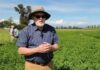 Experto mundial en alfalfa conoció trabajo de INIA para fortalecer investigación frente al cambio climático Experto mundial en alfalfa conoció trabajo de INIA para fortalecer investigación frente al cambio climático
