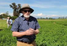 Experto mundial en alfalfa conoció trabajo de INIA para fortalecer investigación frente al cambio climático Experto mundial en alfalfa conoció trabajo de INIA para fortalecer investigación frente al cambio climático