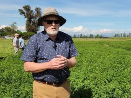 Experto mundial en alfalfa conoció trabajo de INIA para fortalecer investigación frente al cambio climático Experto mundial en alfalfa conoció trabajo de INIA para fortalecer investigación frente al cambio climático