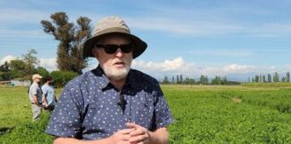 Experto mundial en alfalfa conoció trabajo de INIA para fortalecer investigación frente al cambio climático
