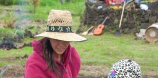 Explora, Conaf y Bosko implementan el primer bosquete de crecimiento acelerado en Rapa Nui, inspirado en el método Miyawak
