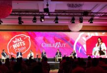 Exponut 2025: la industria de la nuez chilena consolida su recuperación Exponut 2025: la industria de la nuez chilena consolida su recuperación
