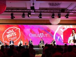 Exponut 2025: la industria de la nuez chilena consolida su recuperación