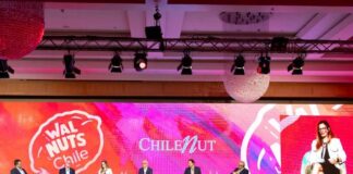 Exponut 2025: la industria de la nuez chilena consolida su recuperación