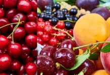 Exportaciones de frutas chilenas alcanzan los US$ 9.460 millones