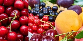 Exportaciones de frutas chilenas alcanzan los US$ 9.460 millones