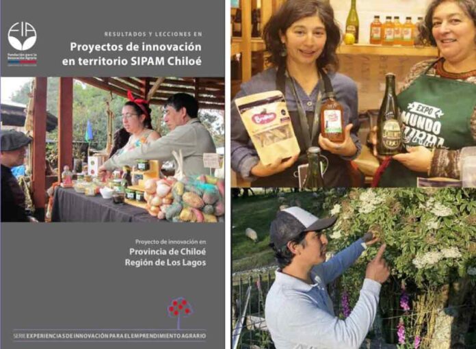 FIA da a conocer resultados, experiencias y lecciones aprendidas de proyectos de innovación en Chiloé