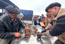 Festival de la Carne reunió a la comunidad de La Junta en una exitosa primera versión Festival de la Carne reunió a la comunidad de La Junta en una exitosa primera versión