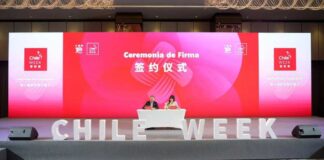 Frutas de Chile firma acuerdo con mercado mayorista de Chongqing: Cerezas chilenas profundizarán presencia en el suroeste de China