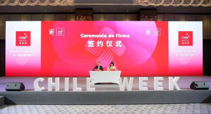Frutas de Chile firma acuerdo con mercado mayorista de Chongqing: Cerezas chilenas profundizarán presencia en el suroeste de China