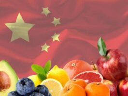 Mercado de frutas en China, manzanas, paltas, arándanos, naranjas, pomelos, limones; semana 39-2025 Mercado de frutas en China, manzanas, paltas, arándanos, naranjas, pomelos, limones; semana 39-2025