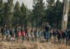 Fundación Reforestemos se convierte en la primera organización certificada bajo el estándar del Colegio de Ingenieros Forestales