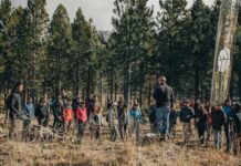 Fundación Reforestemos se convierte en la primera organización certificada bajo el estándar del Colegio de Ingenieros Forestales