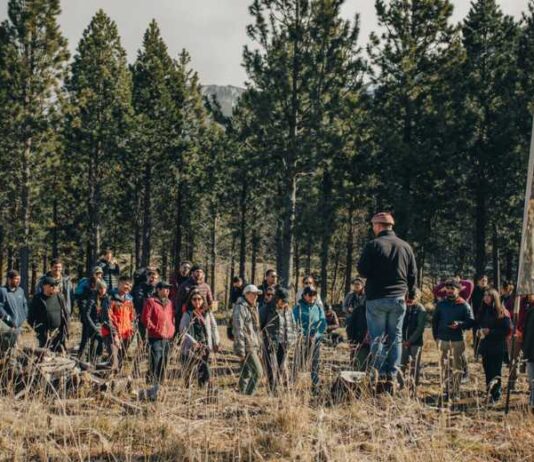 Fundación Reforestemos se convierte en la primera organización certificada bajo el estándar del Colegio de Ingenieros Forestales