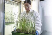 Ganadores de Legado 2025 Innovación con impacto para transformar la salud y el agro en Cono Sur
