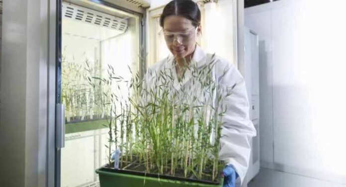 Ganadores de Legado 2025 Innovación con impacto para transformar la salud y el agro en Cono Sur