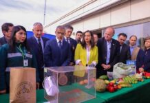Gobierno presenta el Plan “NO a la mosca de la fruta, Chile exporta confianza”